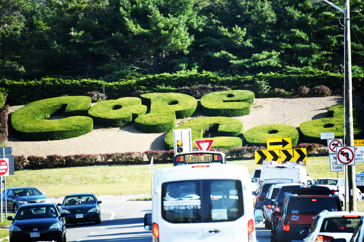 294 Cape Cod plant sculpture at Bourne, MA.jpg
